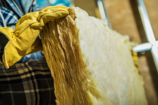 Best Attic Insulation Installation  in Maiden, NC