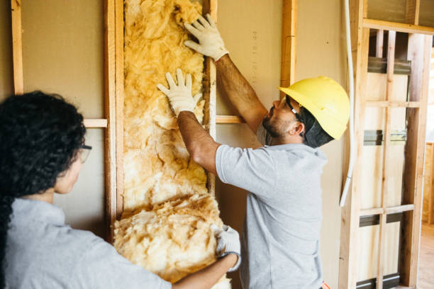 Best Blown-in Insulation  in Maiden, NC