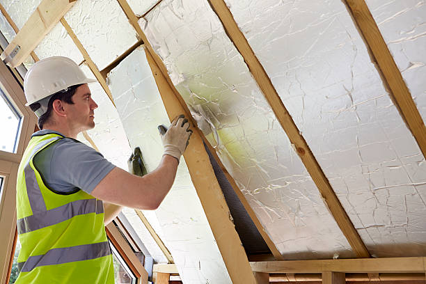 Best Energy-efficient Insulation  in Maiden, NC